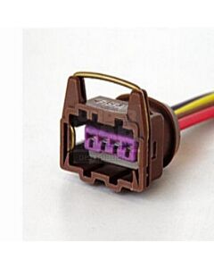 FICHA DE INYECCION  Ficha para Motor Paso a Paso RENAULT 19 BOSCH