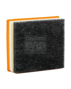 Filtro De Aire BMW 125I MOTOR N20 B20 A 316D 318D C24024